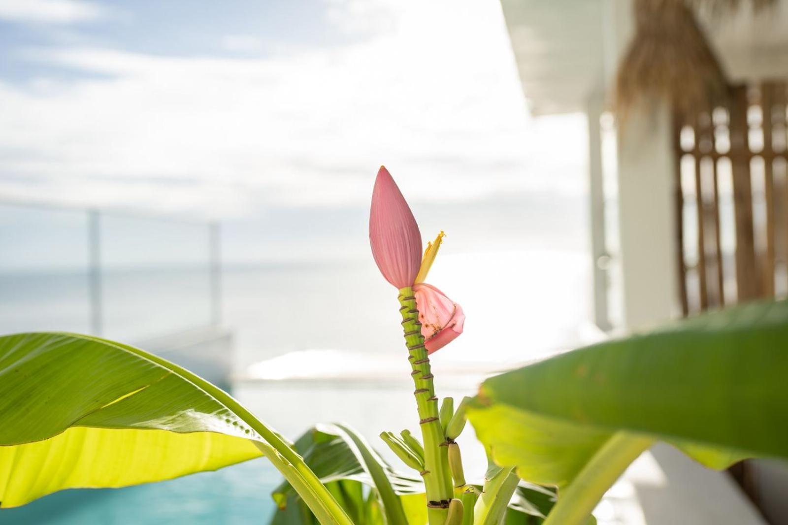 Sunrise Hotel จัมเบียนี ภายนอก รูปภาพ